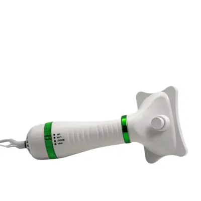 3. generacija 220V EU električni 2-v-1 glavnik s snemljivimi glavami Green