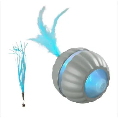 Interactive USB-C Rechargeable Pet Toy Ball - Motion & Touch Activated Cat Play Ball Gray