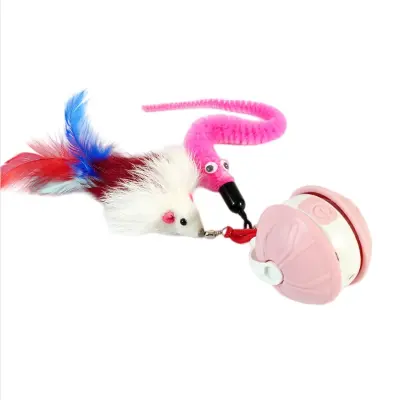Pet Self-Entertaining Interactive Cat Toy Ball – USB-C Rechargeable Motion-Activated Play Ball Pink