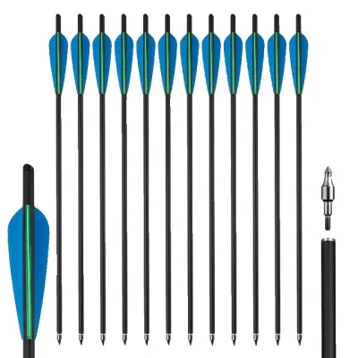 Ogljikove puščice, mešan ogljikov material, odstranljiv koniček, 12kos 20 palcev modre