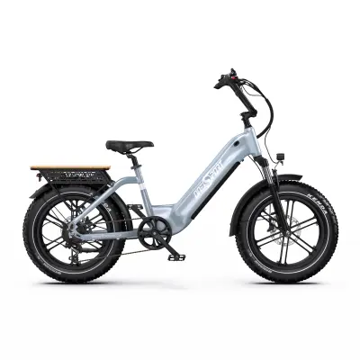 Onesport OT08 20" mestno električno kolo, 48 V 18 Ah, navor 65 Nm, doseg 80–90 km, sivo