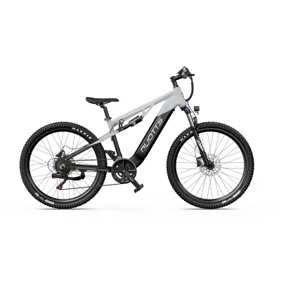 Električno kolo DUOTTS E29, 27,5", 250 W senzor navora, 48 V 13,5 Ah, črno in srebrno