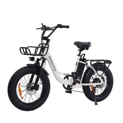 Električno kolo UNIVERCYCLE B5, baterija 48 V 12,5 Ah, doseg 20 palcev, 80 km, bež