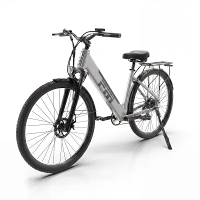 Električno kolo FM M2 PLUS 250 W, senzor navora, odstranljiva baterija 36 V 16,5 Ah, siva
