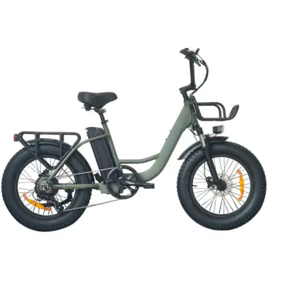 Električno kolo UNIVERCYCLE B5, baterija 48 V 12,5 Ah, doseg 20 palcev, zelena