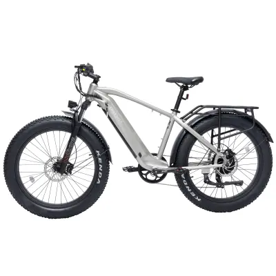 Potovalno električno kolo Bodywel D6, debele pnevmatike, 48V 13,5Ah, sivo