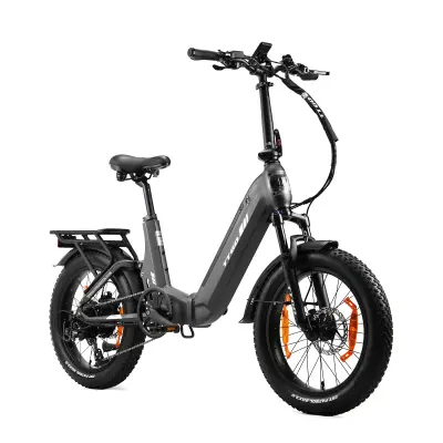 Zložljivo električno kolo TTGO F7 250 W 48 V 15 Ah, 20-palčno debelo kolo, sivo