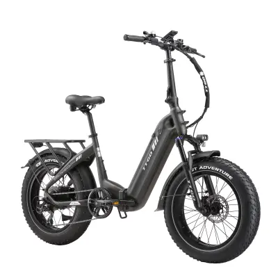 Zložljivo električno kolo TTGO F6 Boost 250 W 48 V 18 Ah, doseg 120 km, 20-palčne debele pnevmatike, sivo