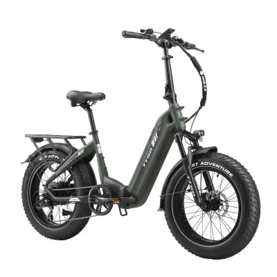 Zložljivo električno kolo TTGO F6 Boost 250 W 48 V 18 Ah, doseg 120 km, 20-palčne debele pnevmatike, zeleno