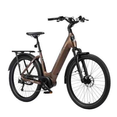 Električno kolo TTGO Z5, 250 W, srednji pogon, baterija 36 V 18 Ah, rjava