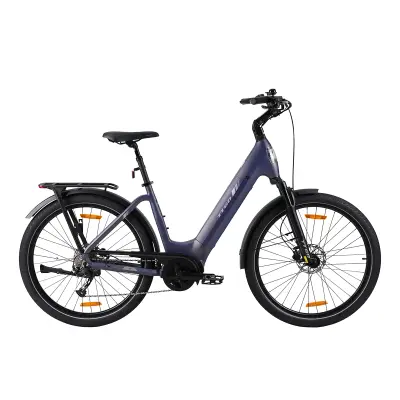 Električno kolo TTGO Z5, 250 W, srednji pogon, baterija 36 V 18 Ah, modro