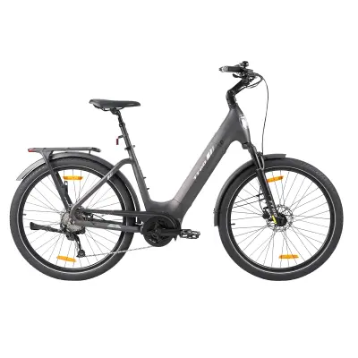Električno kolo TTGO Z5, 250 W, srednji pogon, baterija 36 V 18 Ah, siva