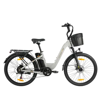 Električno mestno kolo TTGO C2 PRO, 250 W, srednji pogon, 36 V 18 Ah, 26”, srebrno