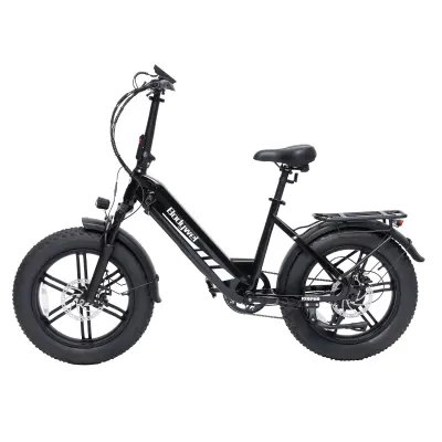 Električno kolo za vožnjo na delo Bodywel F20PRO, Bafang motor, 48V 18Ah, črna