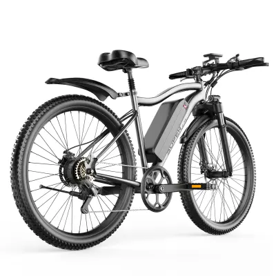 TOOFLY G73 Električno kolo 250W, 48V 13Ah Odstranljiva baterija, 26" za mesto, siva