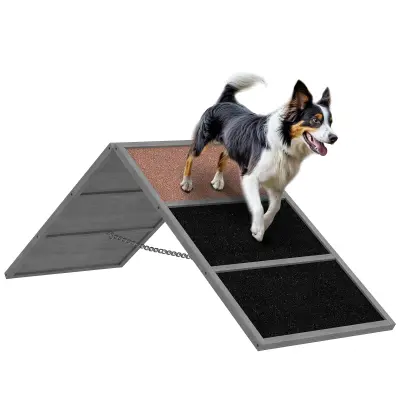 PawHut Oprema za agility most za pse z nedrsečo površino, siva