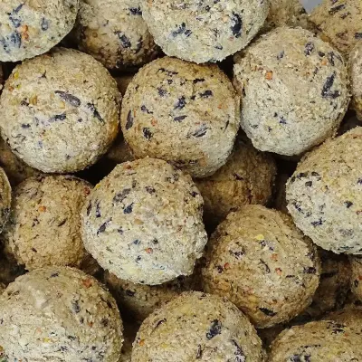 Fettkugeln für Wildvögel 100x90g  100 natürliche Zutaten, allergenfrei, ganzjähriges Vogelfutter