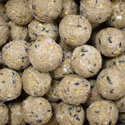 Wildvogelfutter Fettkugeln mit Insekten 200×90 g ohne Netz  100  natürliche Zutaten, hoher Energiegehalt