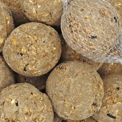 200 x 90g Fettfutter Futterkugeln für Wildvögel mit Netz, natürliche Zutaten