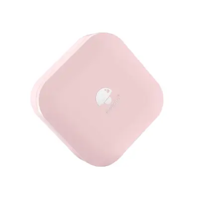 Mini termični etiketni tiskalnik z rolo papirja, Bluetooth in USB-C Pink