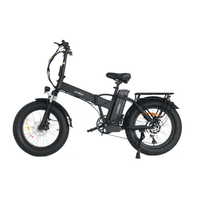 WINDGOO F21 Pro – Zložljivo 20-palčno električno kolo z debelimi pnevmatikami, baterija 48 V 12,5 Ah, črna