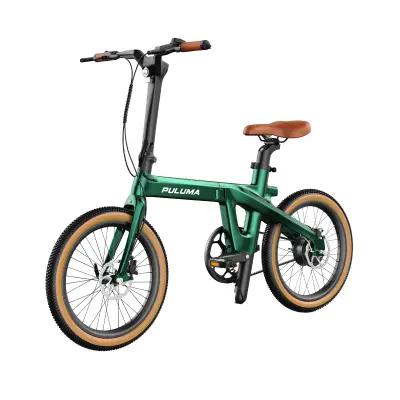 Električno kolo PULUMA PT20 iz karbonskih vlaken, 250 W, 25 KM/H, 20" zložljivo za mesto, zeleno