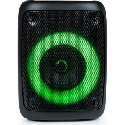 PARTY, Bluetooth zvočnik 30 W z LED svetlobnimi učinki in žičnim mikrofonom, Črna
