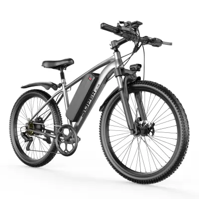 Električno kolo TOOFLY G73 250 W, 26”, 48 V 13 Ah, odstranljiva baterija, siva