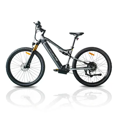 Električno gorsko kolo HedaTX TX19, 29", baterija 48V 19,2Ah, 27-stopenjski, siva