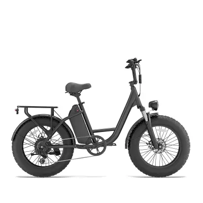 Električno kolo URLIFE E20 Pro, 20-palčno debelo kolo, 48 V 15,6 Ah odstranljiva baterija, črna