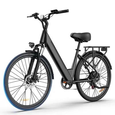 URLIFE E26 26” mestno električno kolo, 36V odstranljiva baterija, črna