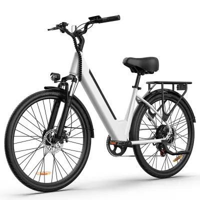 URLIFE E26 26” mestno električno kolo, 36V odstranljiva baterija, bela