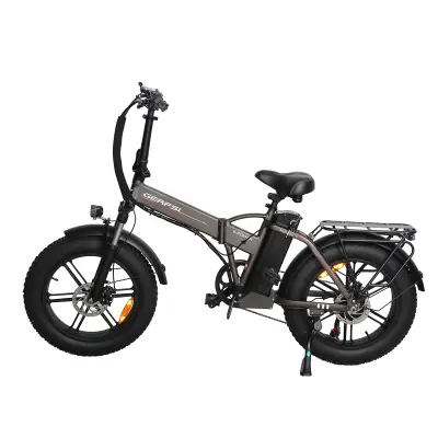 Električno kolo BAOLUJIE GPS-DZ2002 48V16Ah, integrirana kolesa, siva