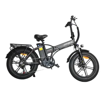 Električno kolo BAOLUJIE GPS-DZ2002 48V16Ah, integrirana kolesa, črna