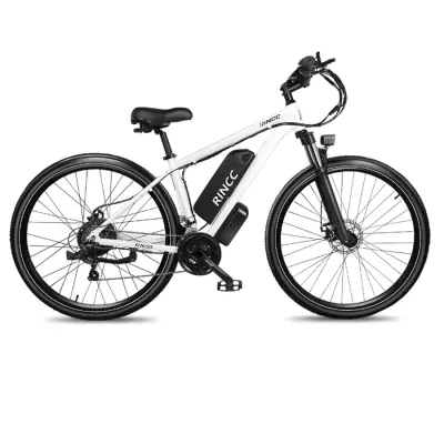 Gorsko električno kolo RINCC RN50, 29" za moške, 48V 15Ah, 21 prestav, belo