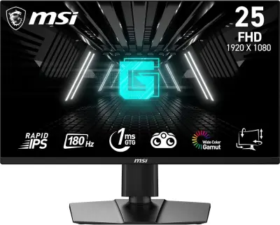 Odprta emb - Monitor MSI G255PF E2
