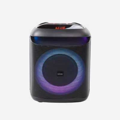 Karaoke zvočnik AX TECHNOLOGY Zehnder PB-400