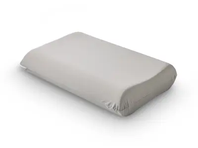 Anatomski vzglavnik Mlily Royal graphene 40x60 cm