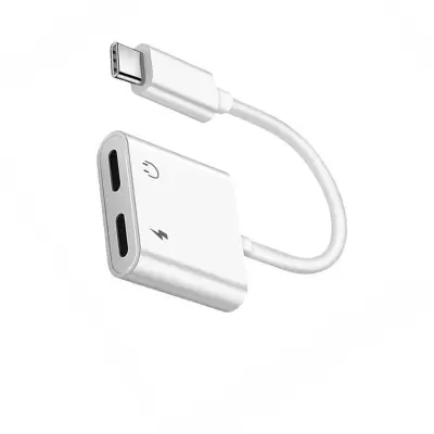 Type-C do SD/TF dvojni čitalec kartic, 2 kosa, USB-C OTG
