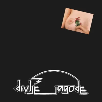 Divlje jagode - LP/Divlje jagode