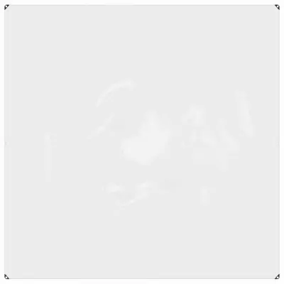 vidaXL Pokrivalo za rastline Transparentno 2 x 2 m PVC