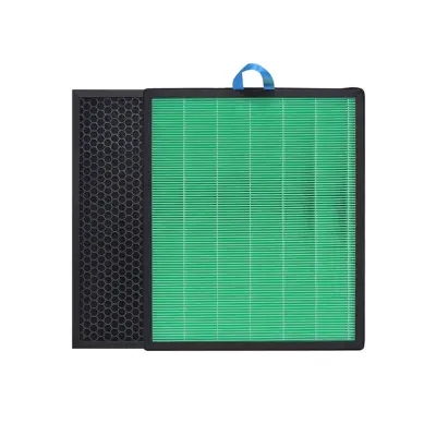 2-pack nadomestnih filtrov za LEVOIT Vital 100S, HEPA in aktivni ogljen Green