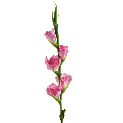 Umetni cvet guma Viridis Gladiola 85cm roza 1kos