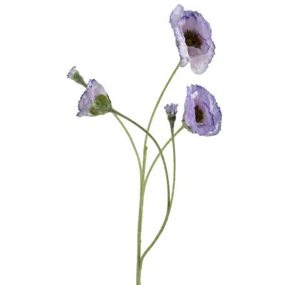 cvetna vejica plastika Viridis Mak Polni 67cm rdeča 1pc
