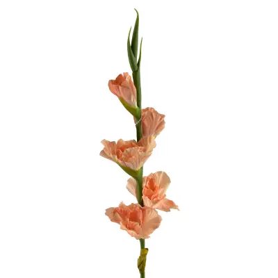 Umetni gladiolus gumirana Viridis Mieczyk 85cm zelena 1kos