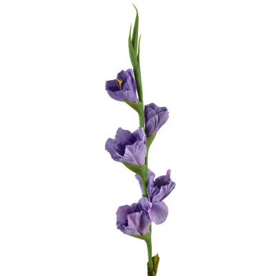 umetni cvet gumiran Viridis Mieczyk 85cm zelen 1kos