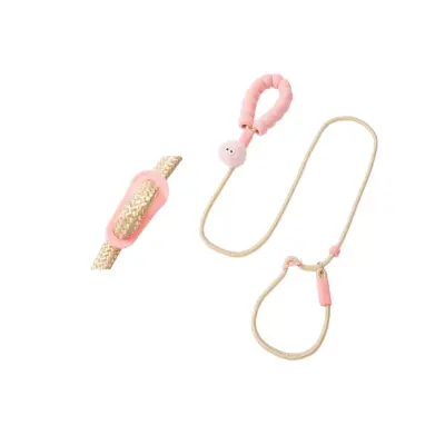 P-Chain proti-potezni povodec z blaženjem sunka in oblazinjeno ročico Pink