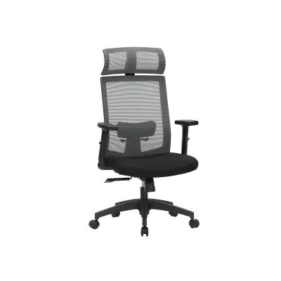 Pisarniški stol z mrežastim naslonom, nastavljiva ledvena opora, 65x53x116 cm, siva