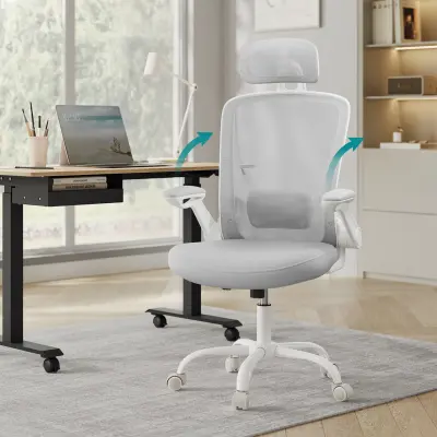 Pisarna stol 64x64x115 cm Siva