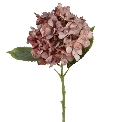 Hortenzija plastika Mondex Viridis 53cm zelena 1kos